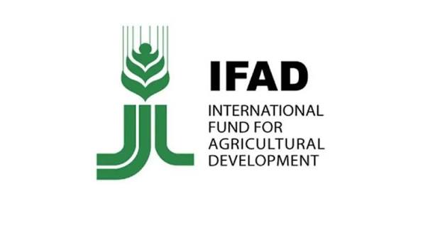 IFAD